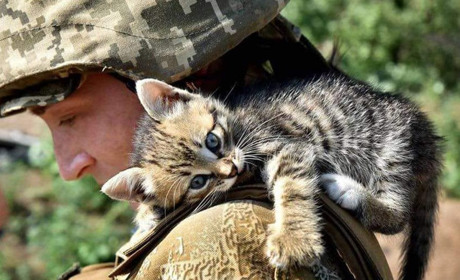Щоденник війни. Тиждень сто п'ядесят восьмий. Я оптиміст, якщо що. У мене надія вмирає останньою