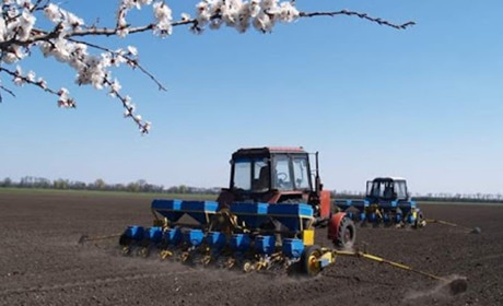 На Полтавщині триває посівна: аграрії вже засіяли понад 90 тис. га зернових