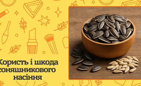 Чим корисне соняшникове насіння? Переваги та обмеження вживання