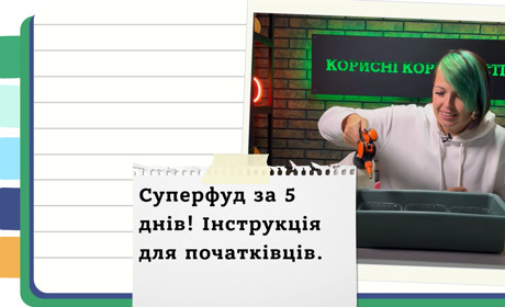 Як виростити мікрозелень вдома - покрокова інструкція