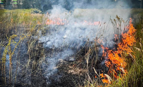 На Одещині сьогодні оголошено надзвичайний рівень пожежної небезпеки