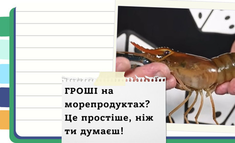 Як відкрити бізнес на раках та креветках в Україні