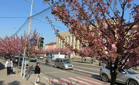 Погода у Старокостянтинові на 28 квітня - 4 травня: чекають теплі й здебільшого сухі дні