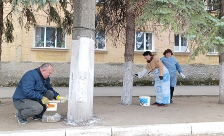 Чому білити неплодові дерева вапном — шкідливо і незаконно: пояснює еколог Володимир Борейко