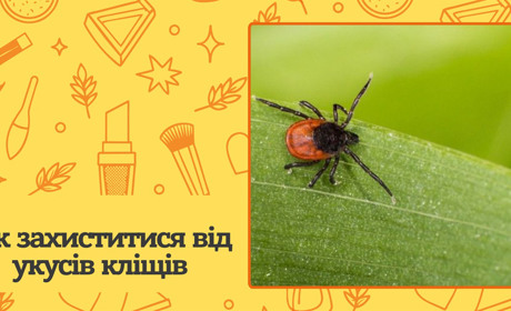 Яка група крові приваблює кліщів найбільше? Поради щодо профілактики укусів та перша допомога