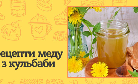 Як приготувати мед з кульбаби вдома? 5 простих рецептів, які збагатять ваш раціон вітамінами