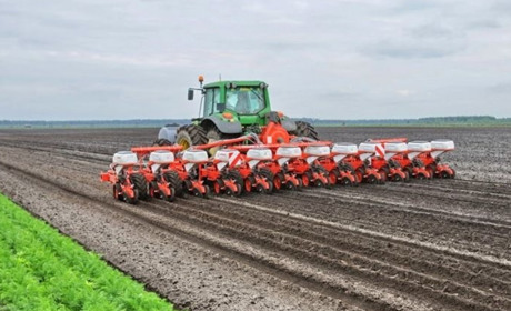 Полтавська область лідирує за посівами ярих зернових та зернобобових