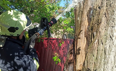 У Переяславі рятувальники ліквідували загоряння дерева