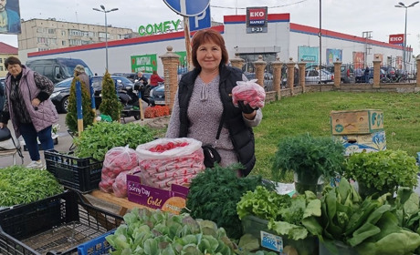 На базарі побільшало розсади: ціни на капусту від 50 гривень, помідори та баклажани по 70 за дюжину