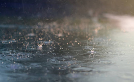 Дощі, місцями грози та похолодання: якою буде погода протягом тижня у Гадячі