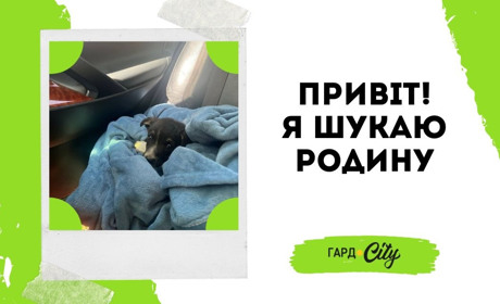 Симпатичний цуцик чекає на свого доброго господаря. Оновлено: вже у родині!