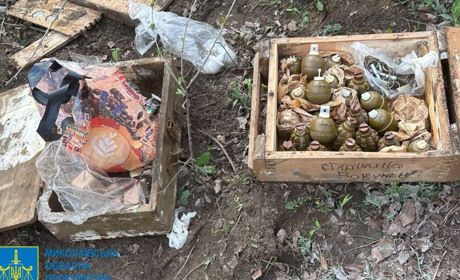 Зберігав боєприпаси у лісосмузі - жителю Вознесенщини повідомлено про підозру