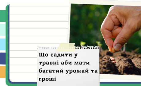 Що сіяти у травні 2025: найкращі дні для посадки огірків, капусти, буряків та зелені