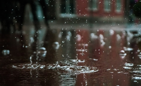 Прохолодно та дощі: прогноз погоди у Гадячі протягом тижня