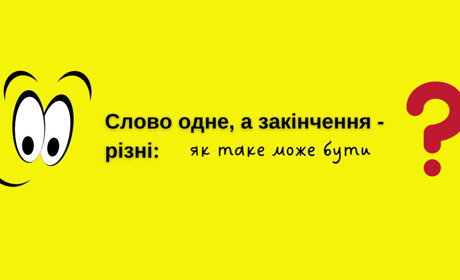 Чому ми говоримо і "листопада", і «листопаду»: або як зрозуміти закінчення іменників?