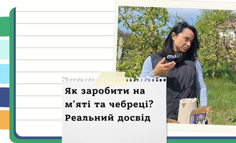 Як вирощувати лікарські трави та добре заробляти - покрокова інструкція