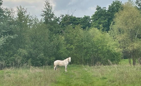 Що синоптики нам прогнозують на 15-19 травня