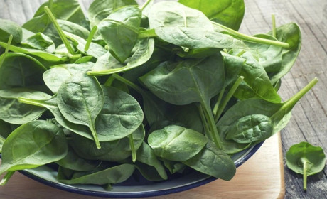 Ідеї страв зі шпинату від Городок.City: суп, котлети, млинці та рулет