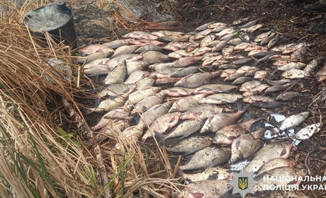 Нерест-2025: На Полтавщині браконьєр наловив риби на понад пів мільйона гривень