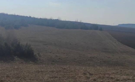 На Кременеччині суд повернув громаді понад 12 гектарів землі
