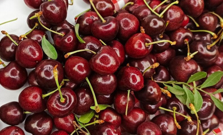 Морози знищили 90% урожаю мелітопольської черешні