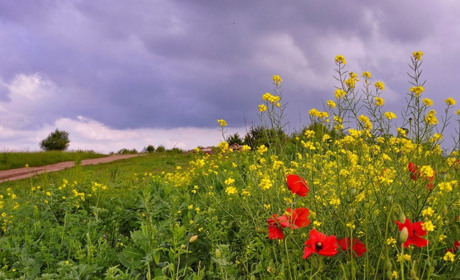 КОРОТКА КЛІМАТИЧНА ХАРАКТЕРИСТИКА ЧЕРВНЯ