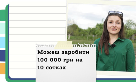 Як заробляти на вирощуванні спаржі в Україні?