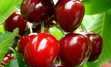 Ліміти, тарифи, техогляд: які нововведення чекають українців у червні 2025