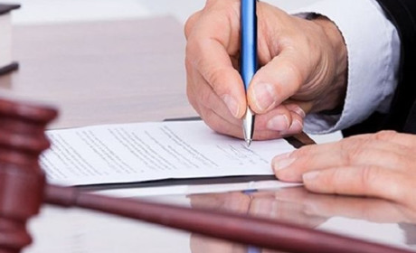 На Запоріжжі судитимуть колишніх працівників "Мелітопольського лісгоспу" за співпрацю з окупантами