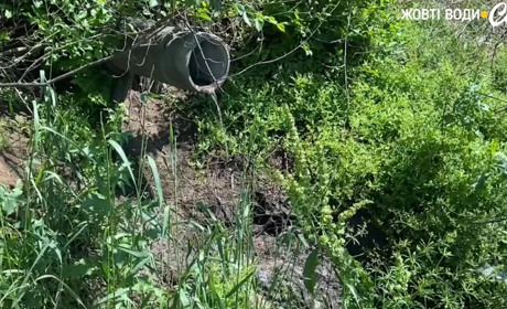 Каналізація в балку: екологічне лихо у Жовтих Водах