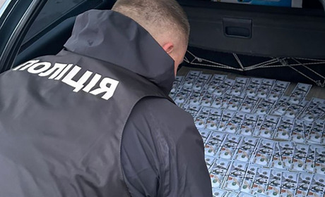 Півмільйона за інвалідність: підприємиця з Хмельниччини отримала вирок