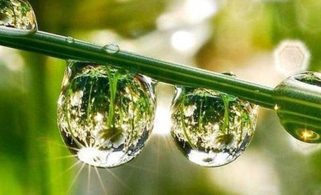 Погода на тиждень: чи чекати спеки на Гадяччині