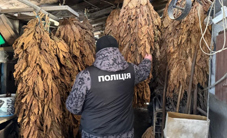 Промислове виробництво фальсифікату: на Хмельниччині викрито тютюнову схему