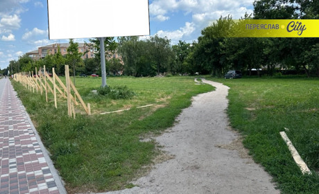 "Липи міськрада пересадить": на місці будівництва нового супермаркету розпочали підготовчі роботи