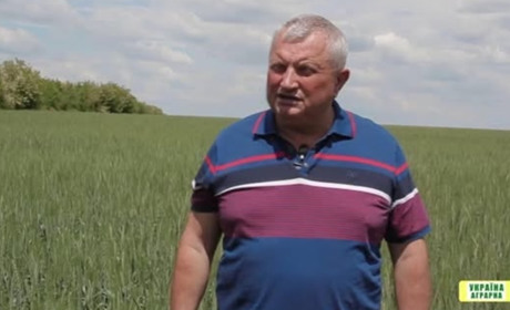 «Колос, що ніколи не хилиться»: історія Володимира Гамарца, який живе в унісон із землею