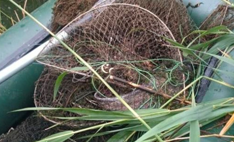 На Полтавщині браконьєр наловив раків у заповіднику та завдав збитків на 230 тисяч грн