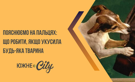 Покусала тварина? 5 кроків, які врятують життя вашої дитини