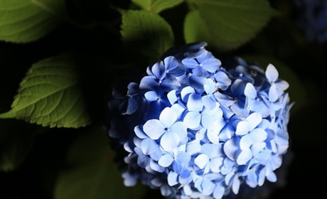 Липень 2025: соціальні виплати, техогляд, пенсії, вступна кампанія, напруга мережі