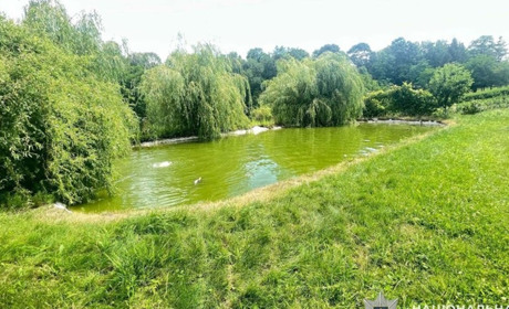 На Кременеччині ледь не втопився трирічний хлопчик