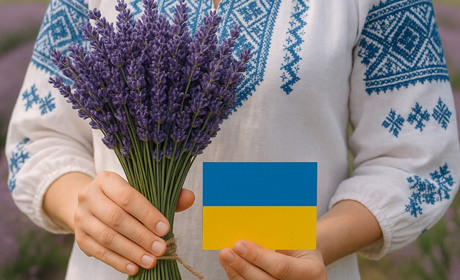 Квіти заради перемоги: у Березівській громаді можна купити букет лаванди, який конвертують у донати