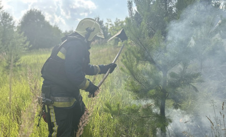 Неподалік села Глухівської громади горіла суха трава