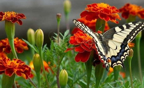 Прогноз погоди на 12-14 липня