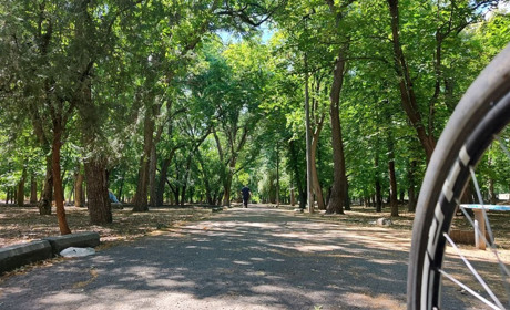 Затінок, тиша і дерева: прогулянка Молодіжним парком у Первомайську. Фотоальбом