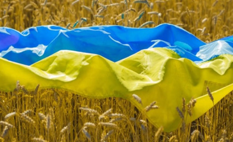 Щоденник війни. Тиждень сто сімдесятий. Здається, в світі починає уриватися терпець