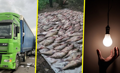 Підсумки тижня на Черкащині: браконьєри, негода, ДТП та гучна музика в кафе