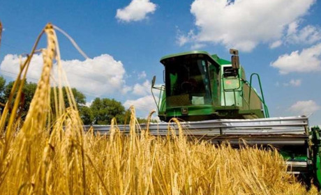 Жнива 2025: аграрії Полтавщини намолотили понад 135 тис. тонн урожаю