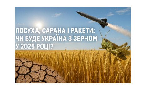 Врожаї під прицілом: чи вистачить українцям зерна у 2025?