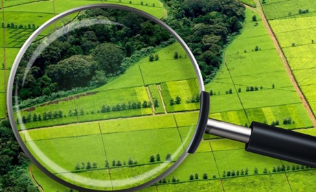 Полтавщина — лідер ринку землі: понад 5 тисяч угод та стабільне зростання цін