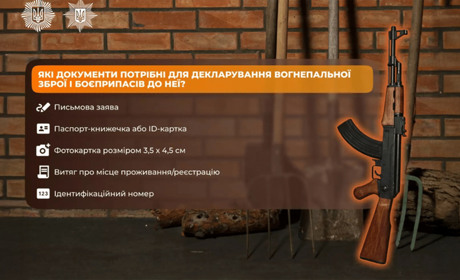 Декларування зброї на Шепетівщині: як це зробити