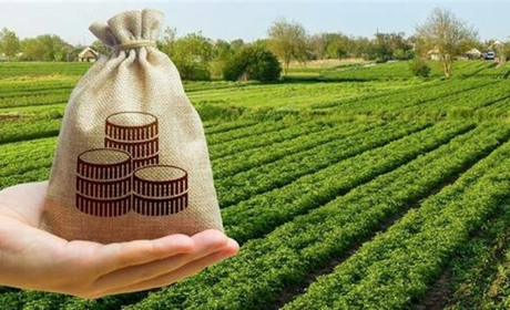Аграрний сектор Черкащини поповнив місцеві бюджети на понад 700 мільйонів гривень